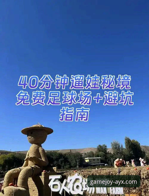 资深玩家亲测分享：AYX平台安全吗官方下载实战经验与避坑指南